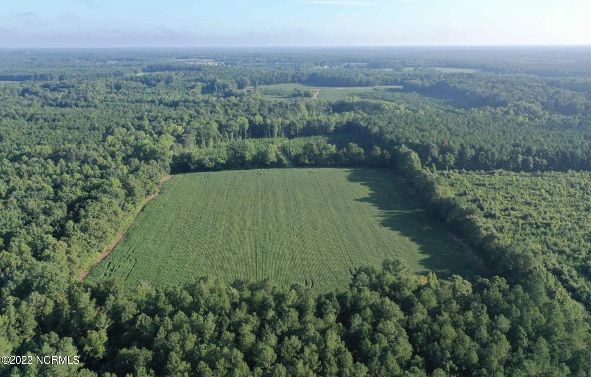 9765 Old Lewis School Road Property Photo 6