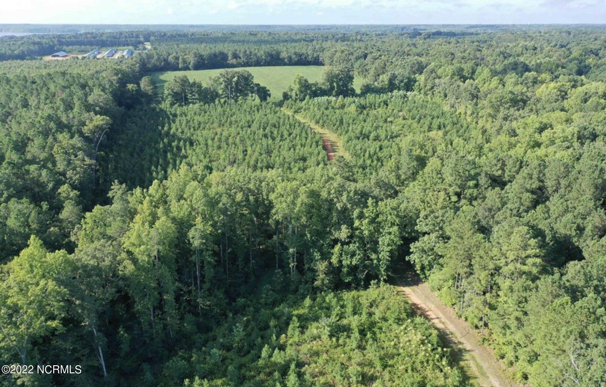 9765 Old Lewis School Road Property Photo 8