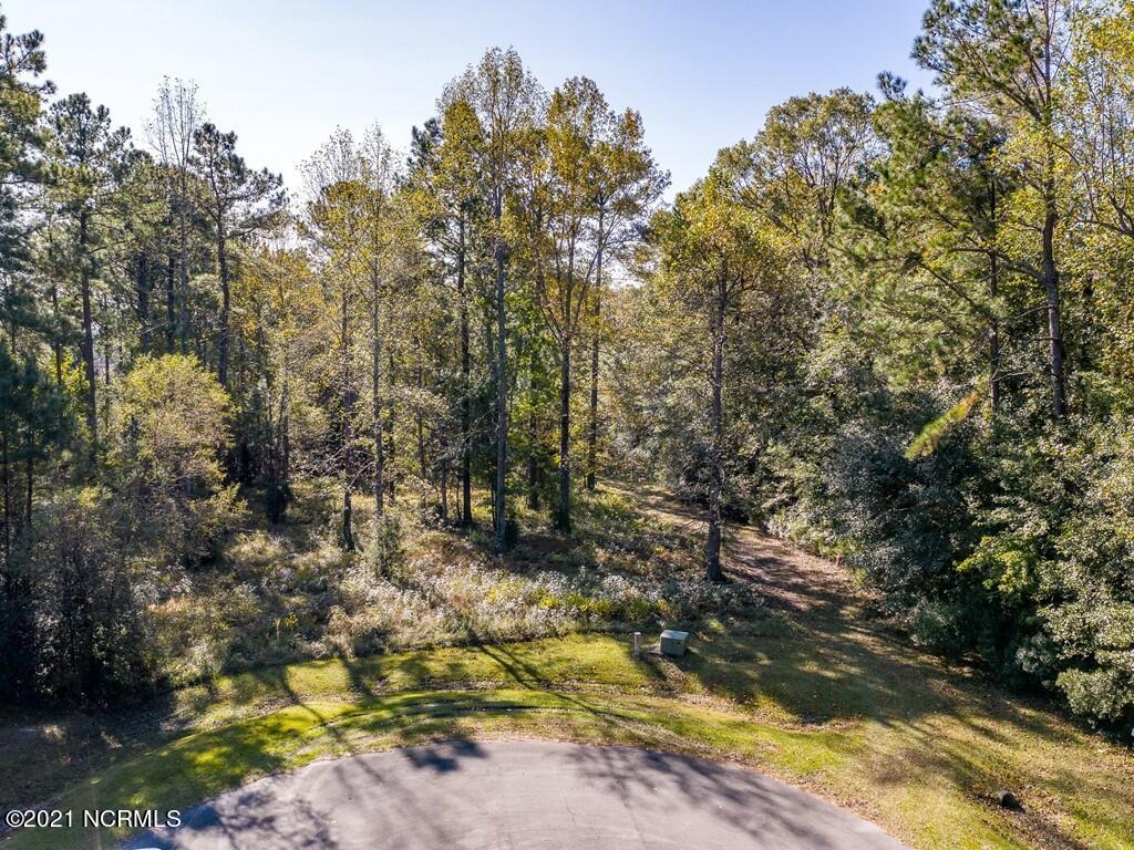355 Trent Creek Drive Property Photo 3