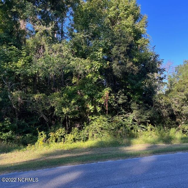 221 Prichard Avenue Property Photo 1