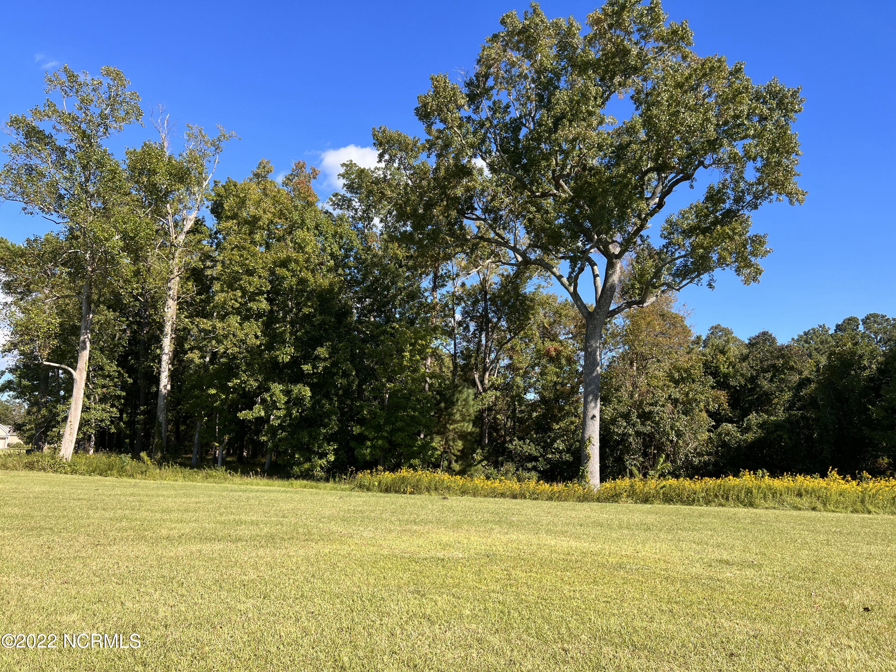 78 Morning Side Drive Property Photo 3