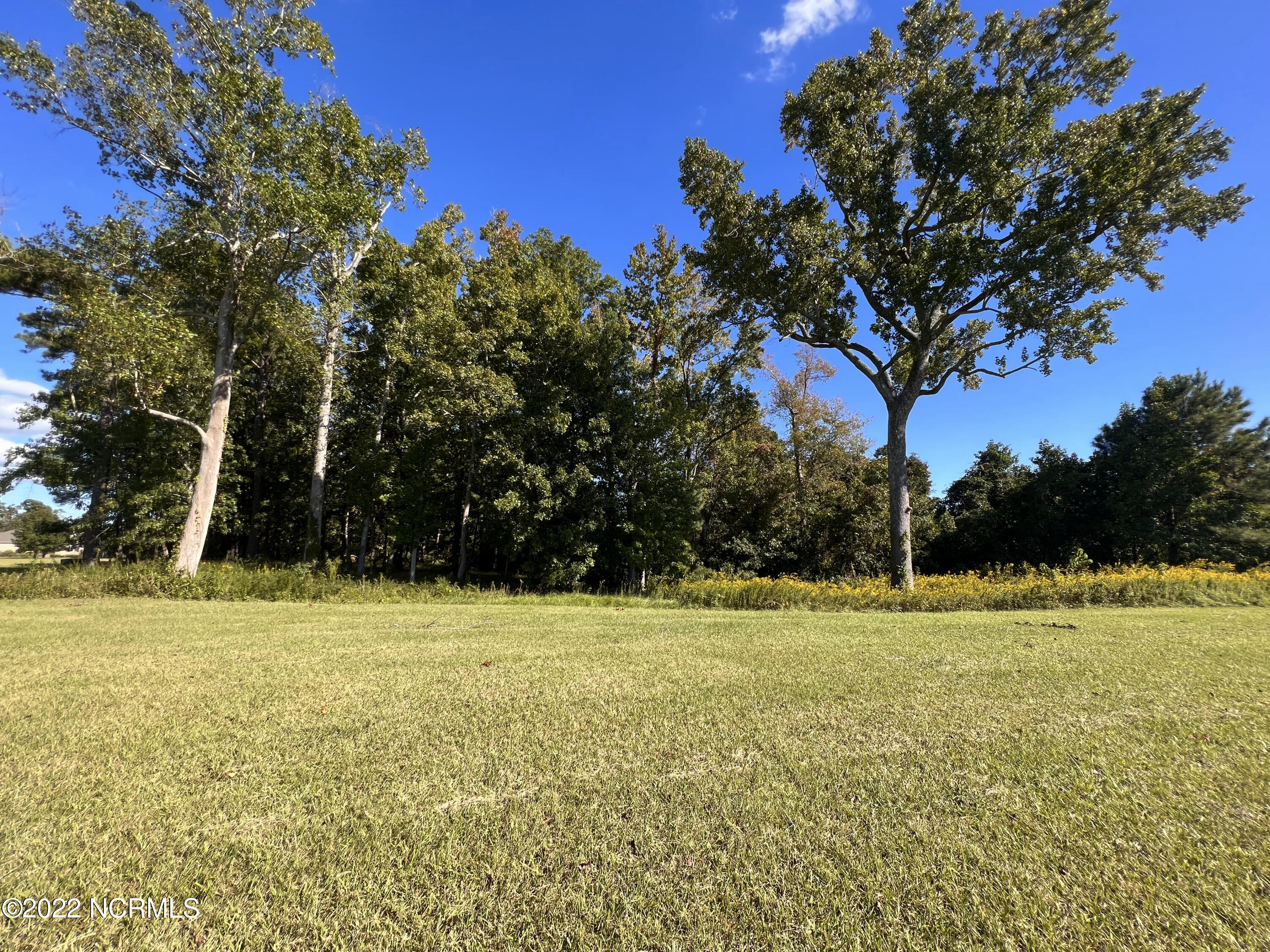 78 Morning Side Drive Property Photo 4