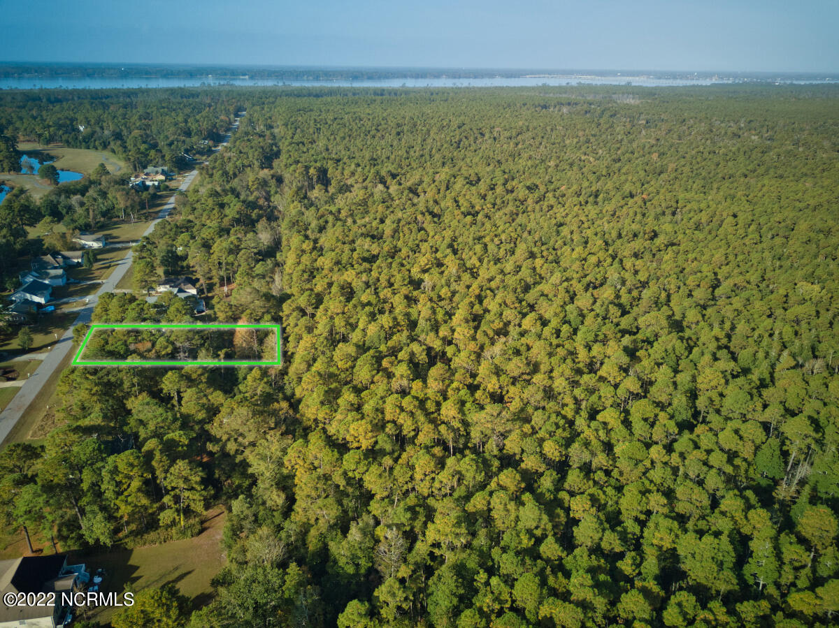 2000 Caracara Drive Property Photo 5