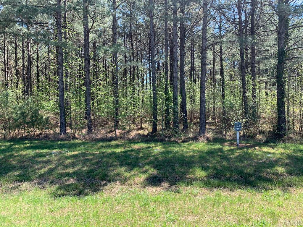 412 Plumtree Circle Property Photo 7