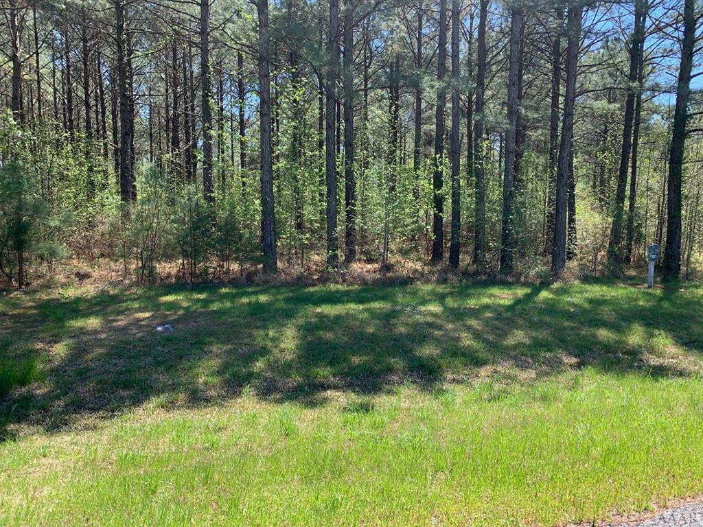 412 Plumtree Circle Property Photo 9