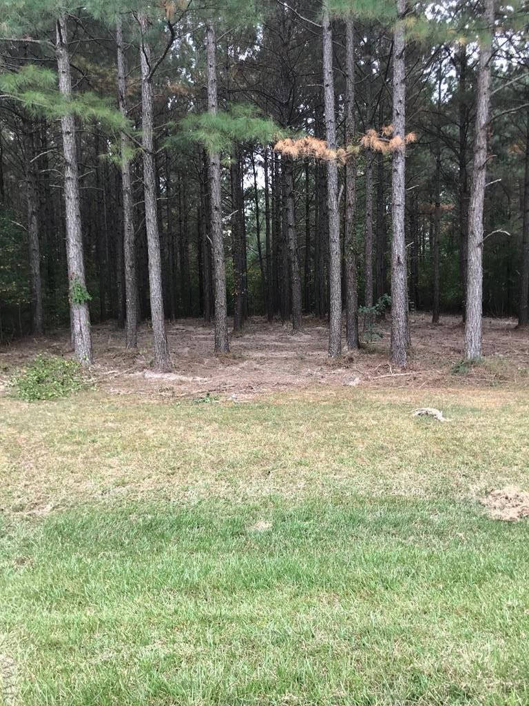 412 Plumtree Circle Property Photo 10