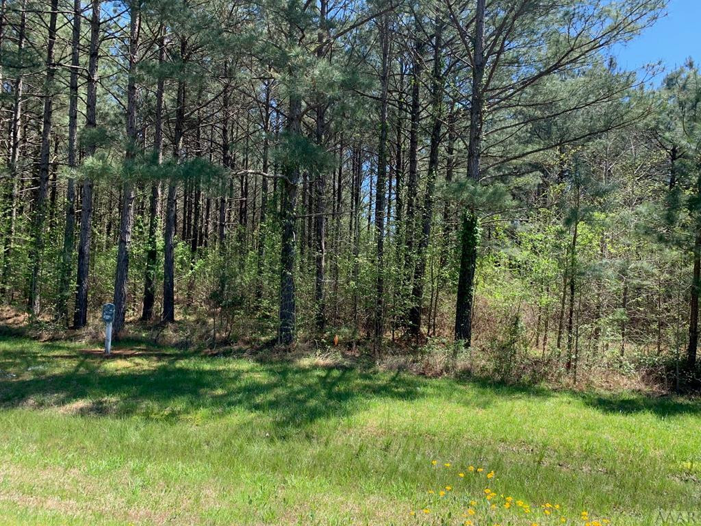 412 Plumtree Circle Property Photo 12