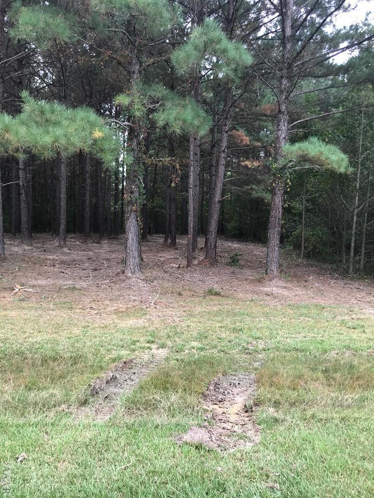 412 Plumtree Circle Property Photo 15