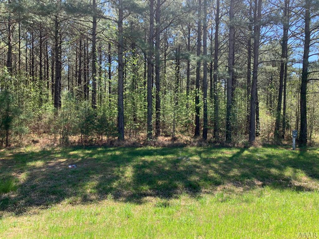 412 Plumtree Circle Property Photo 17