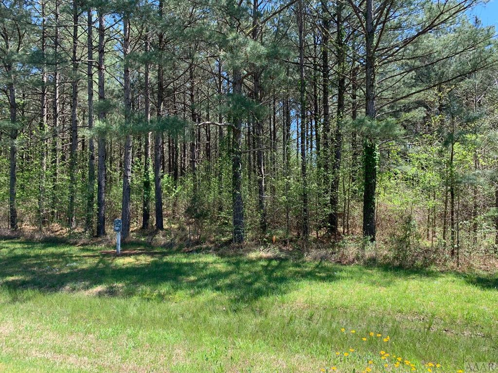 412 Plumtree Circle Property Photo 19