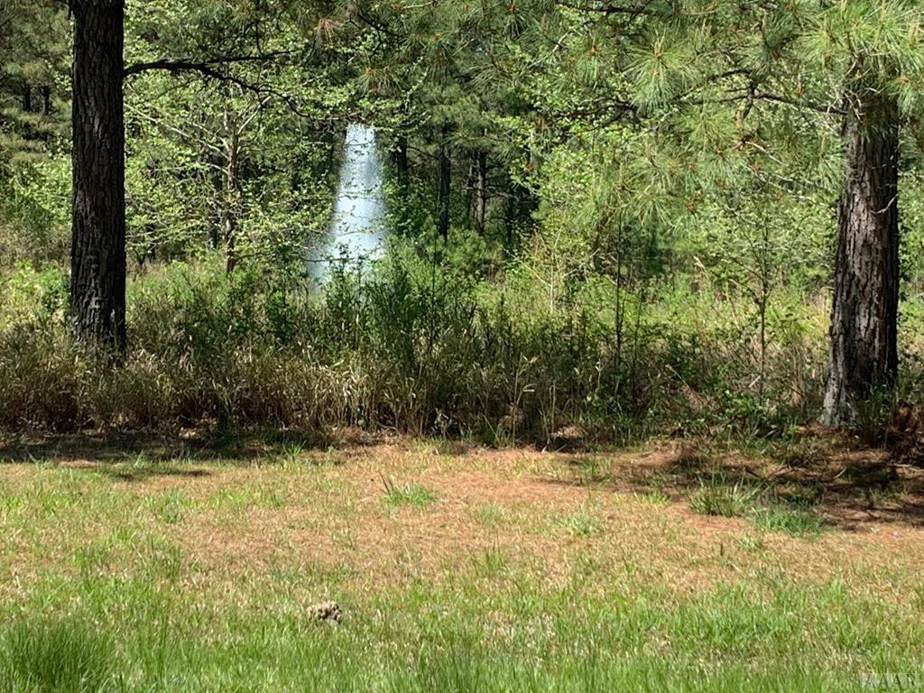 412 Plumtree Circle Property Photo 21