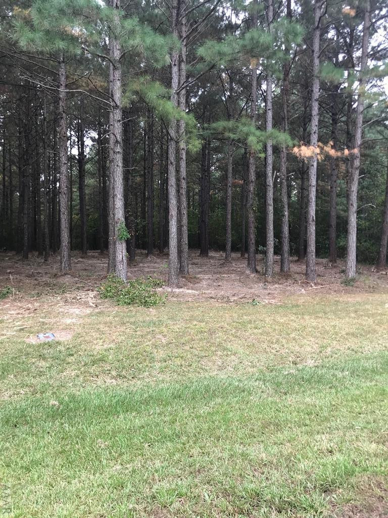 412 Plumtree Circle Property Photo 22