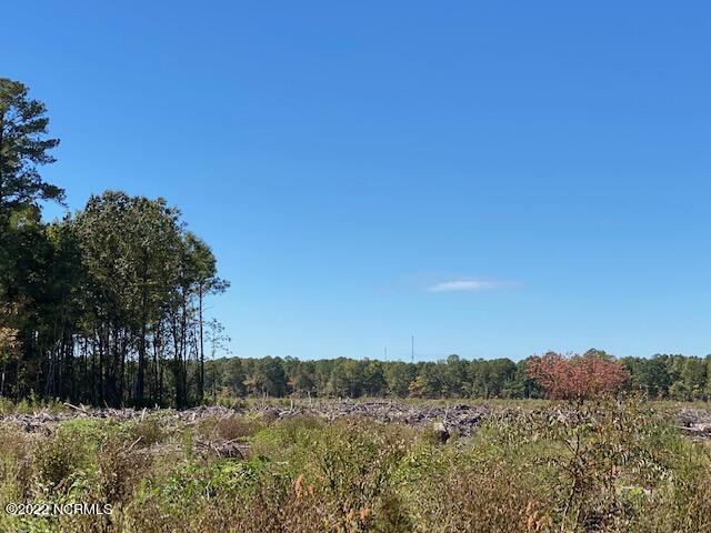 0 Ahoskie Cofield Road Property Photo 1