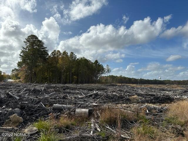 0 Ahoskie Cofield Road Property Photo 4