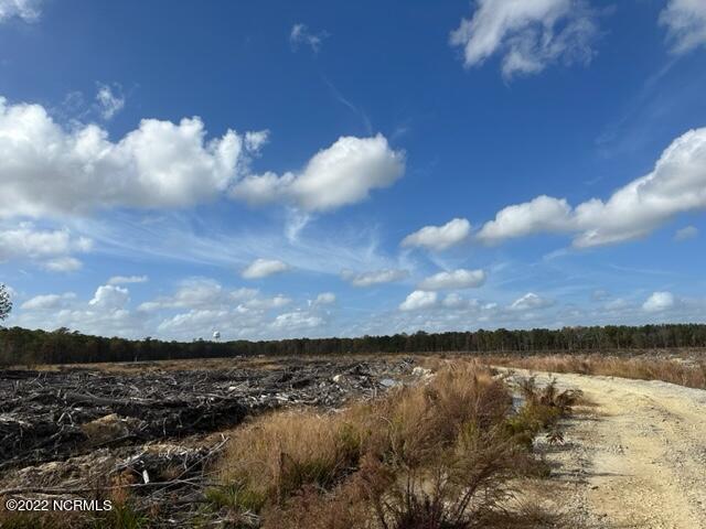 0 Ahoskie Cofield Road Property Photo 5