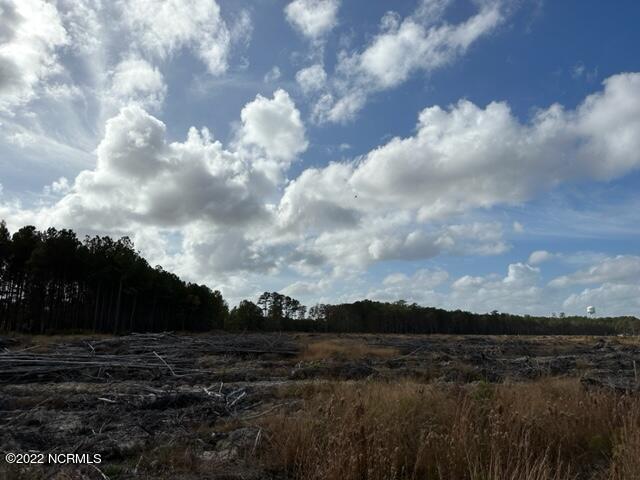 0 Ahoskie Cofield Road Property Photo 6