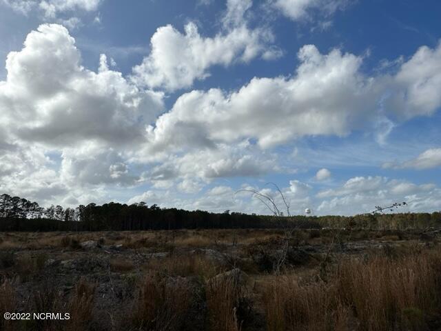 0 Ahoskie Cofield Road Property Photo 8