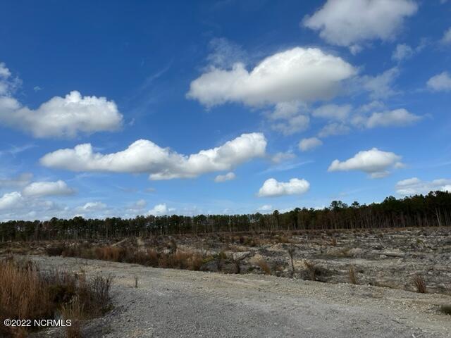 0 Ahoskie Cofield Road Property Photo 9