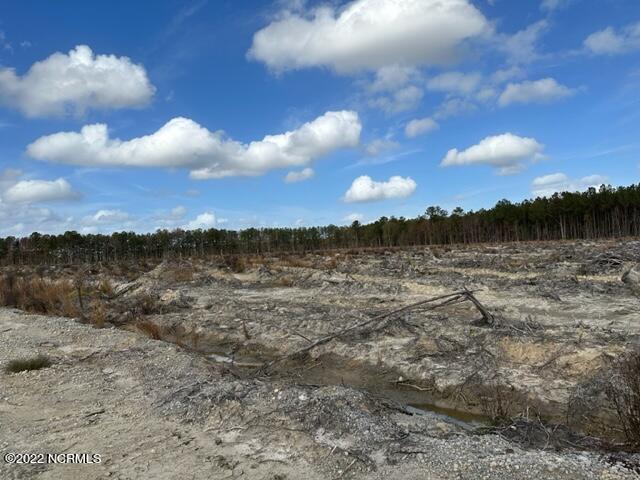 0 Ahoskie Cofield Road Property Photo 10