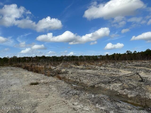 0 Ahoskie Cofield Road Property Photo 11