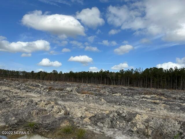 0 Ahoskie Cofield Road Property Photo 12