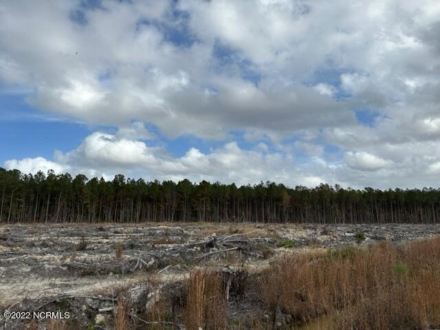 0 Ahoskie Cofield Road Property Photo 13