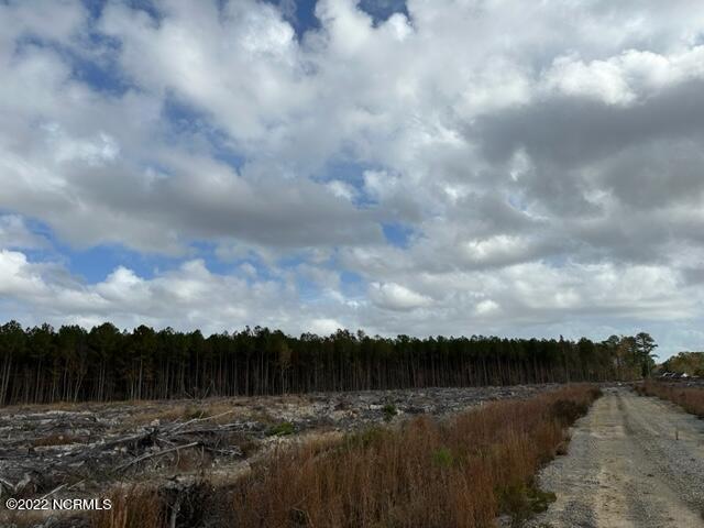 0 Ahoskie Cofield Road Property Photo 14