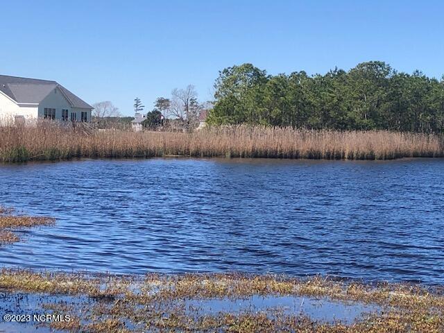 123 Dowry Creek Property Photo 5
