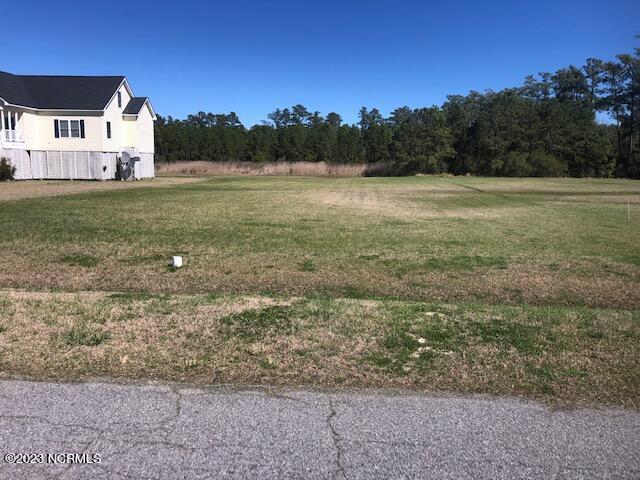 123 Dowry Creek Property Photo 8