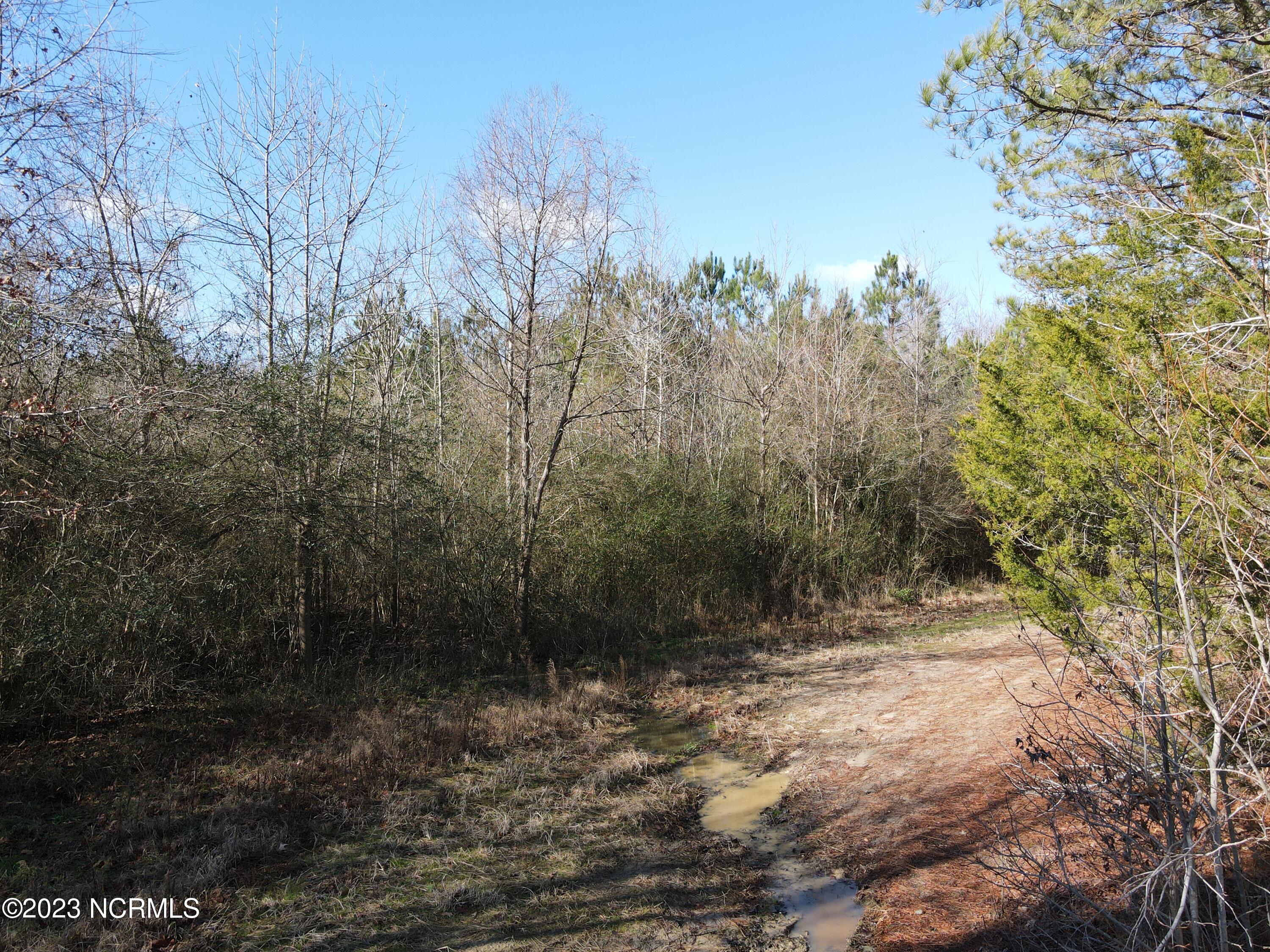 0 Jenkins Mill Road Property Photo 2
