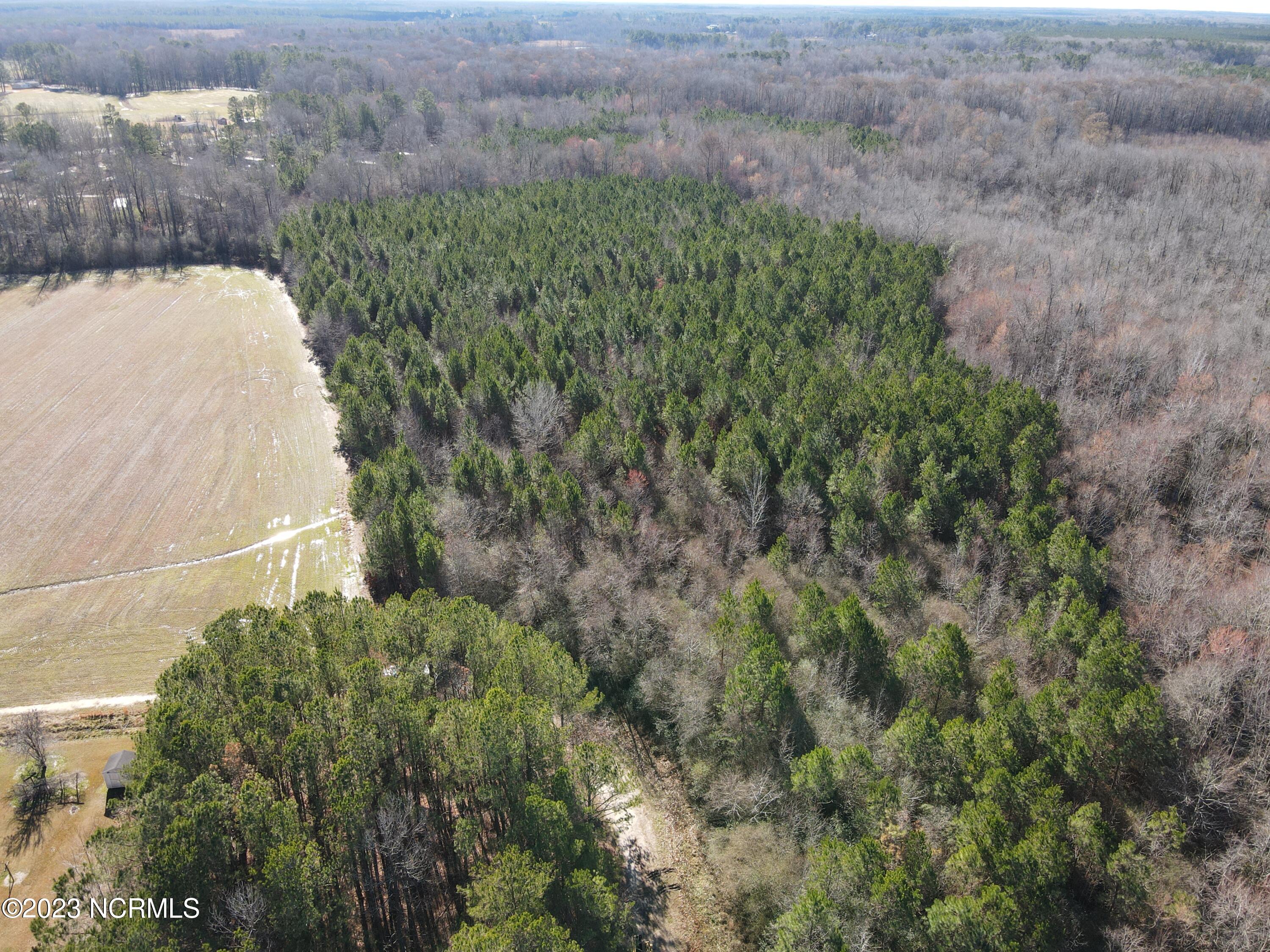 0 Jenkins Mill Road Property Photo 3