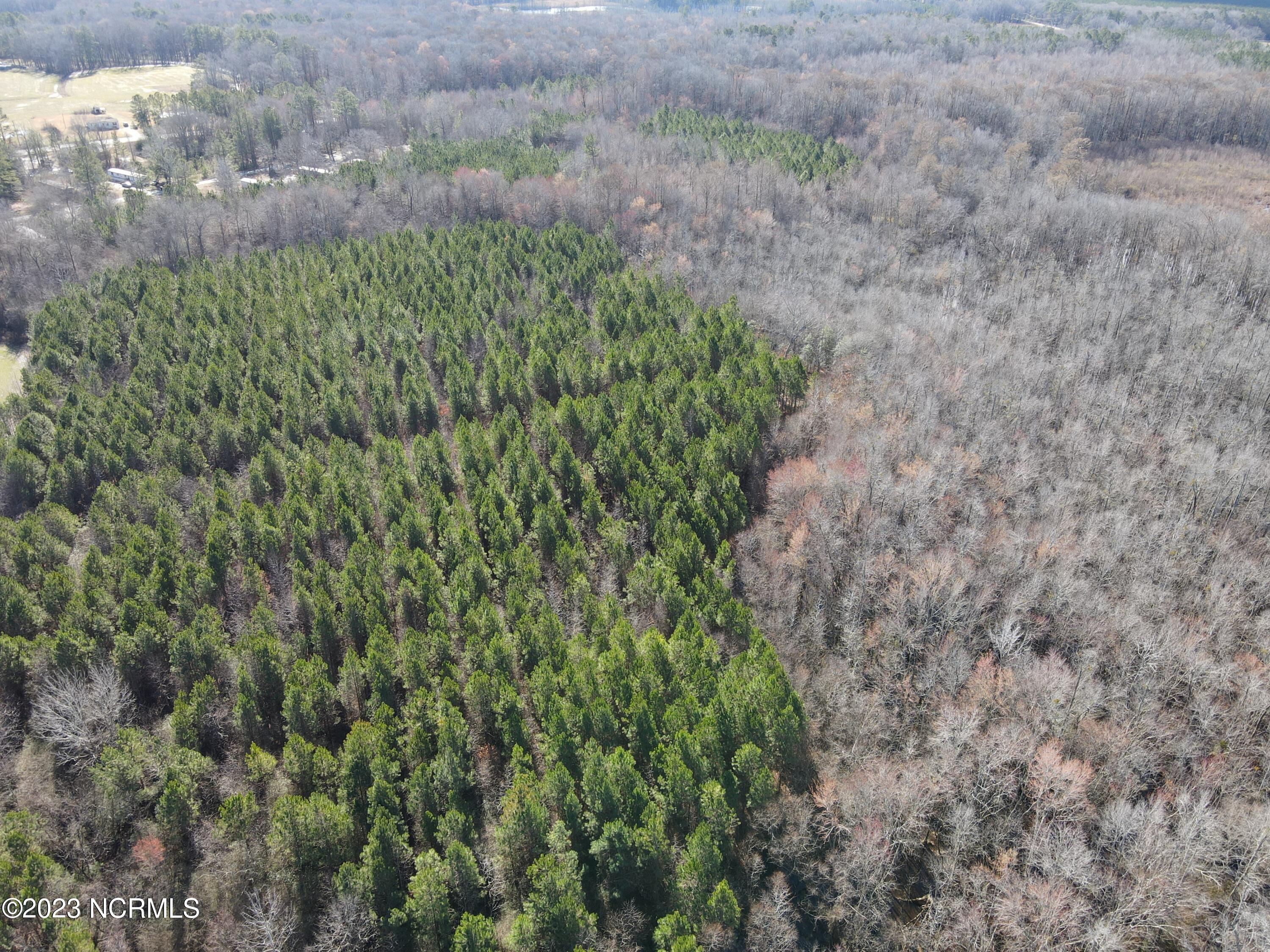 0 Jenkins Mill Road Property Photo 4