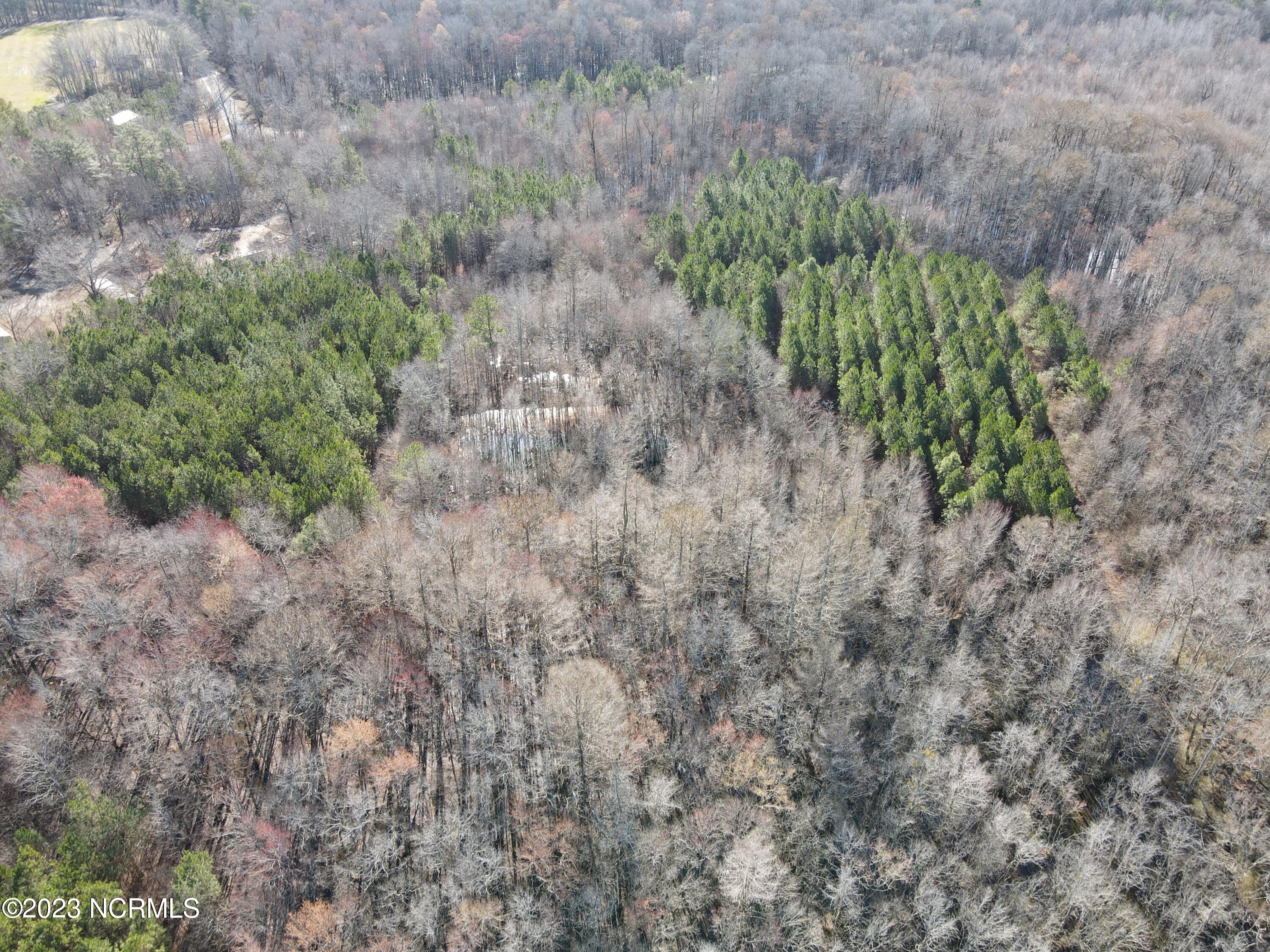 0 Jenkins Mill Road Property Photo 6