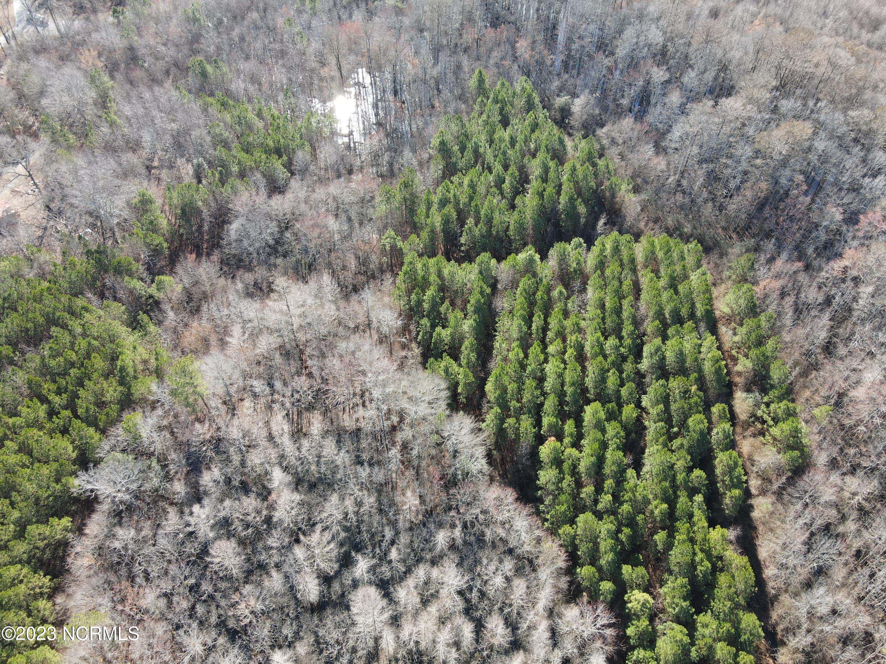 0 Jenkins Mill Road Property Photo 7