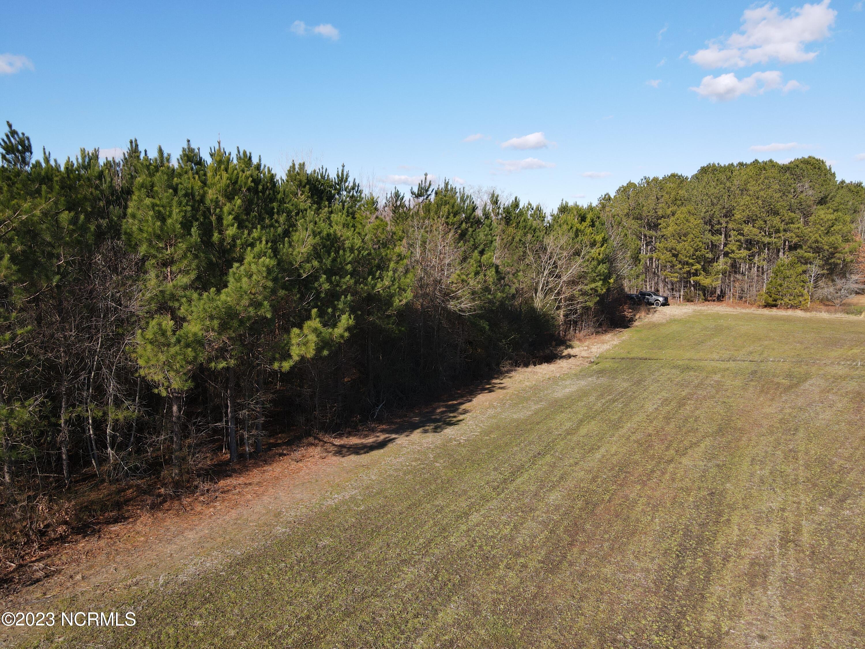 0 Jenkins Mill Road Property Photo 24