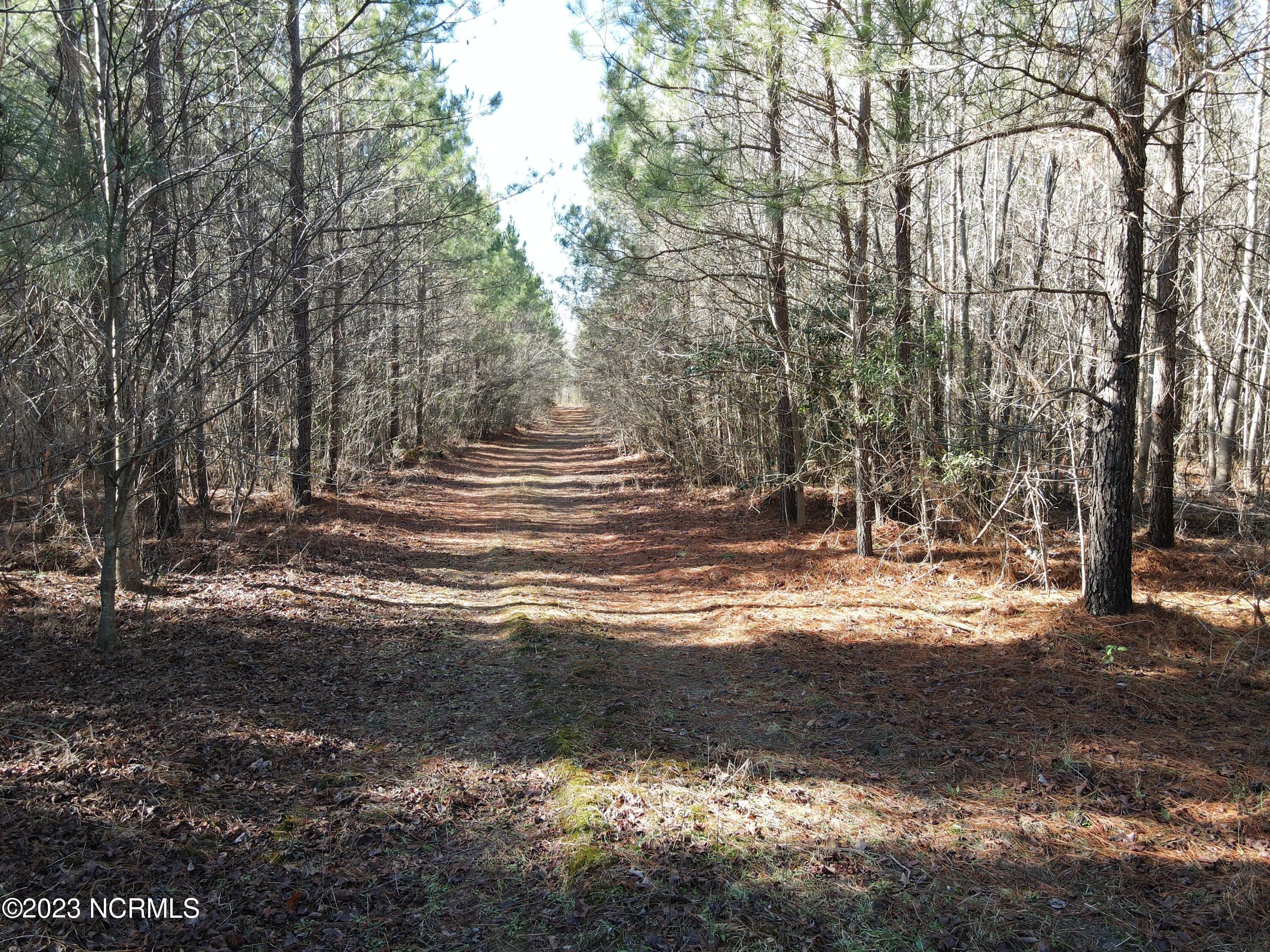 0 Jenkins Mill Road Property Photo 25