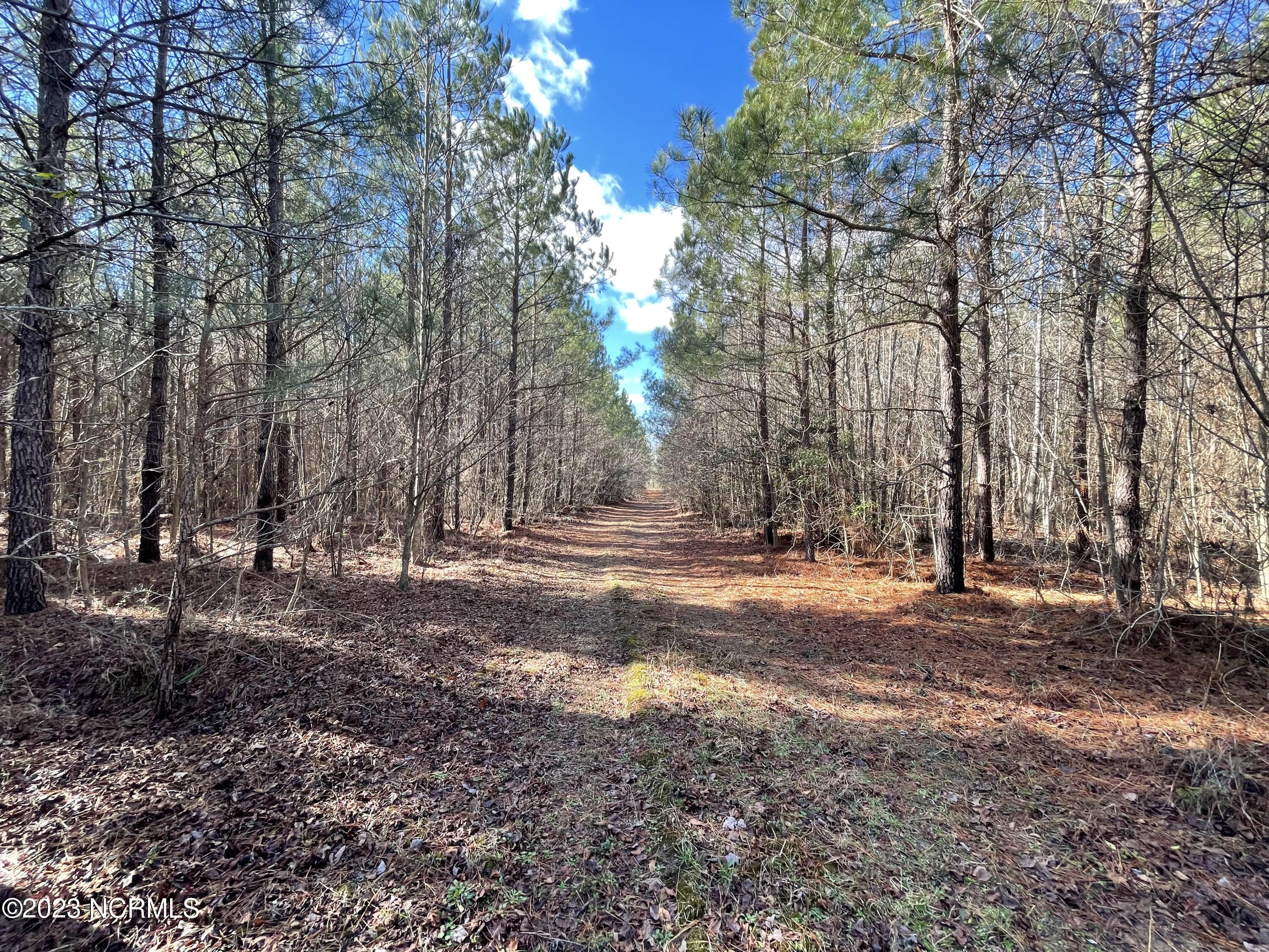 0 Jenkins Mill Road Property Photo 28