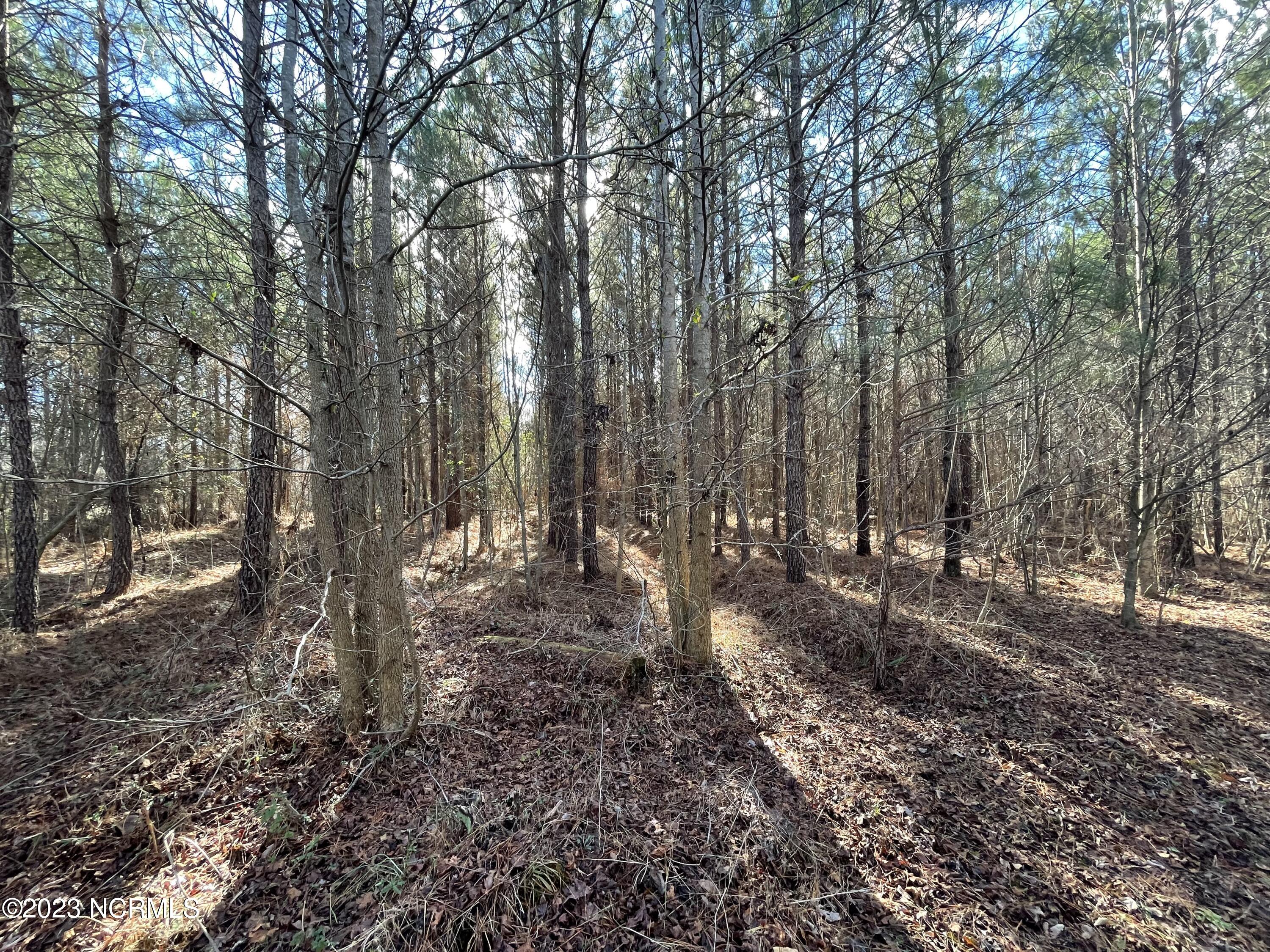 0 Jenkins Mill Road Property Photo 29