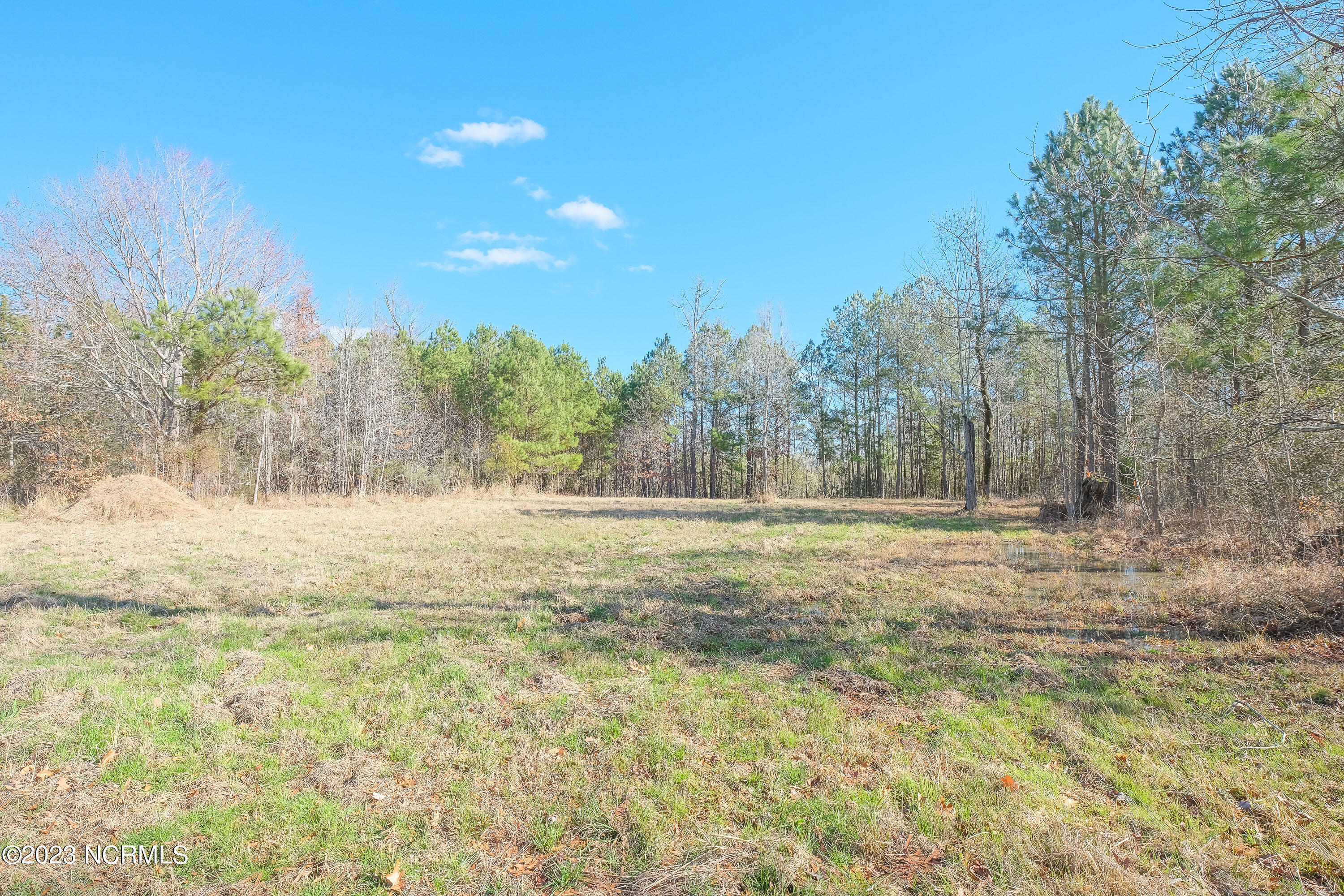 222 Osprey Drive Property Photo 4