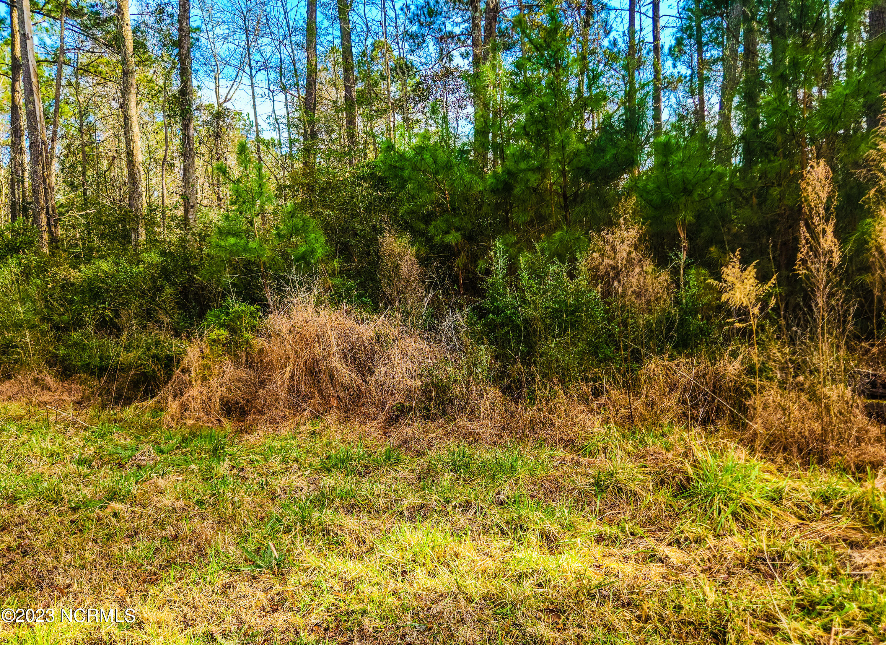 153 Oswell Brinson Road Property Photo 4