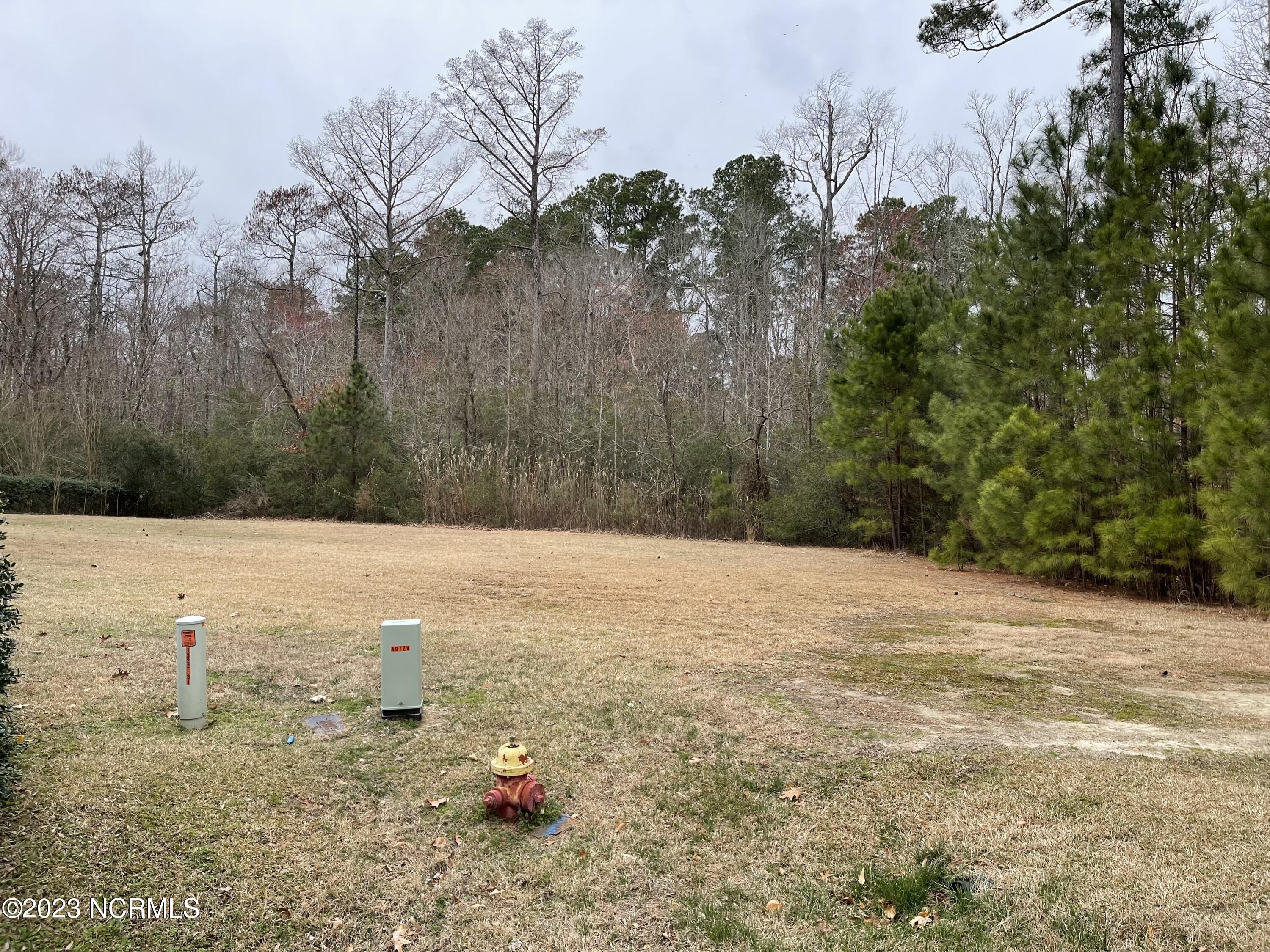 146 25 Pee Dee Drive Property Photo 1