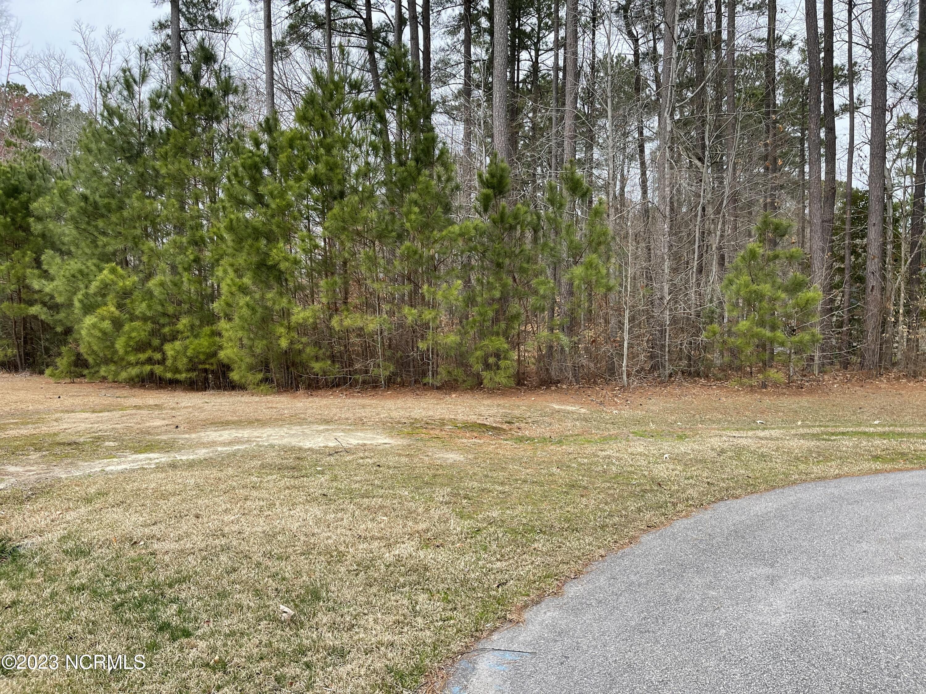 146 25 Pee Dee Drive Property Photo 2