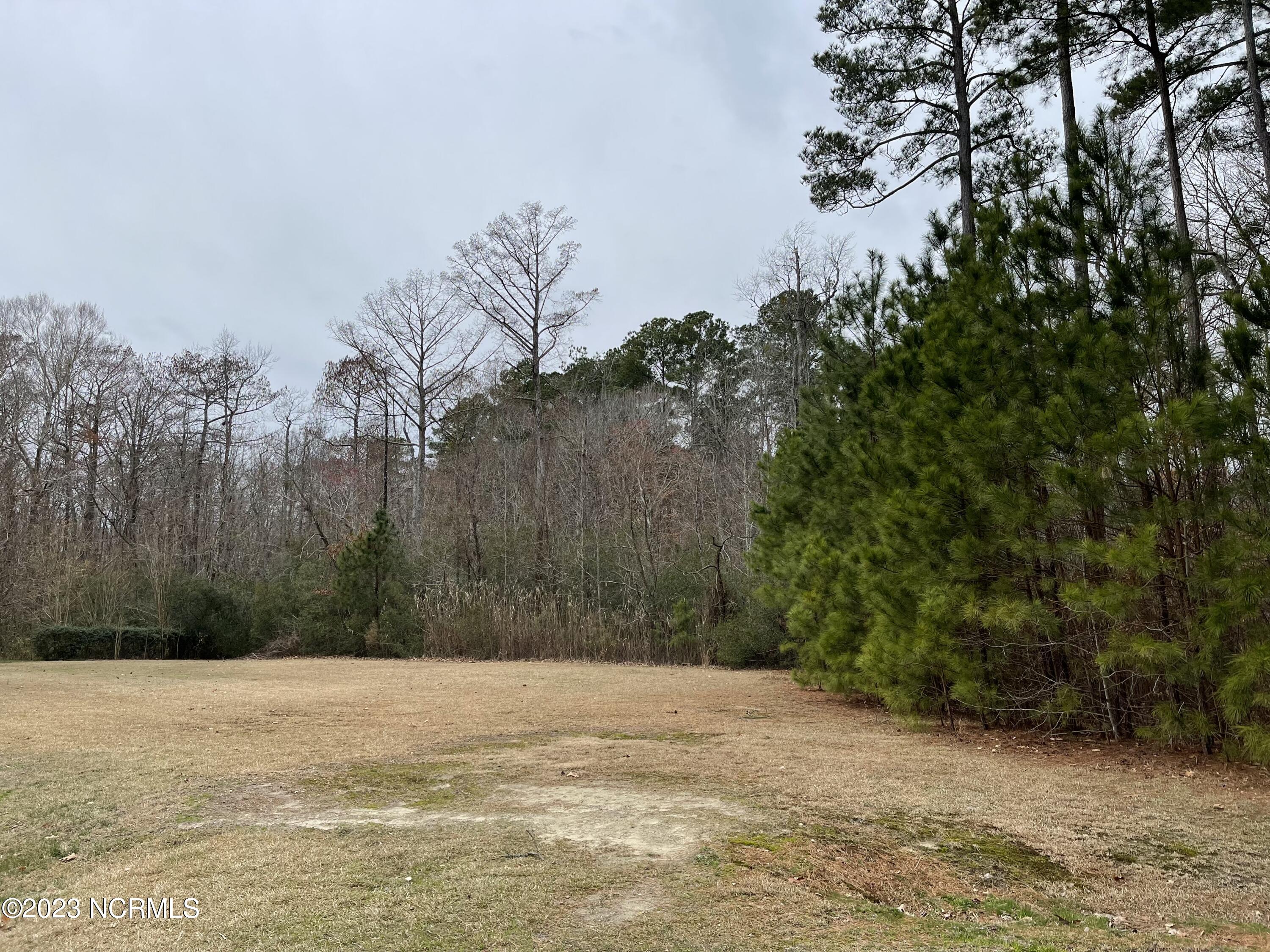 146 25 Pee Dee Drive Property Photo 4