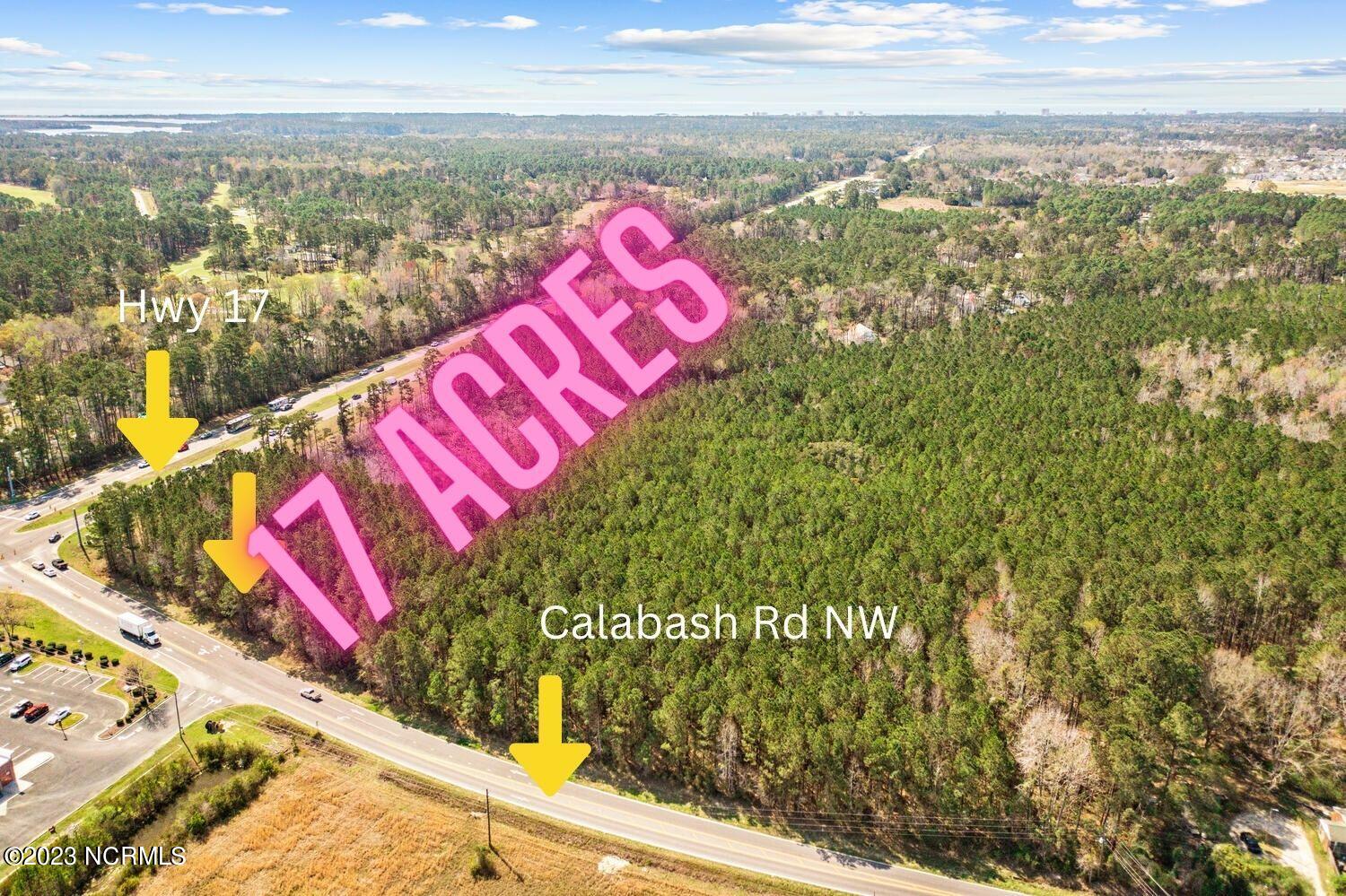 17 Acres Hwy 17 Property Photo 4