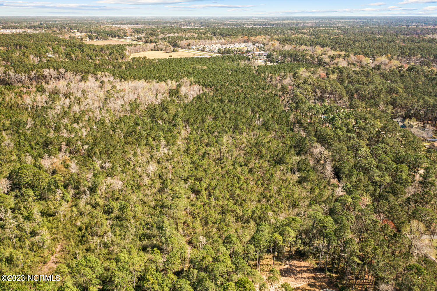 17 Acres Hwy 17 Property Photo 16