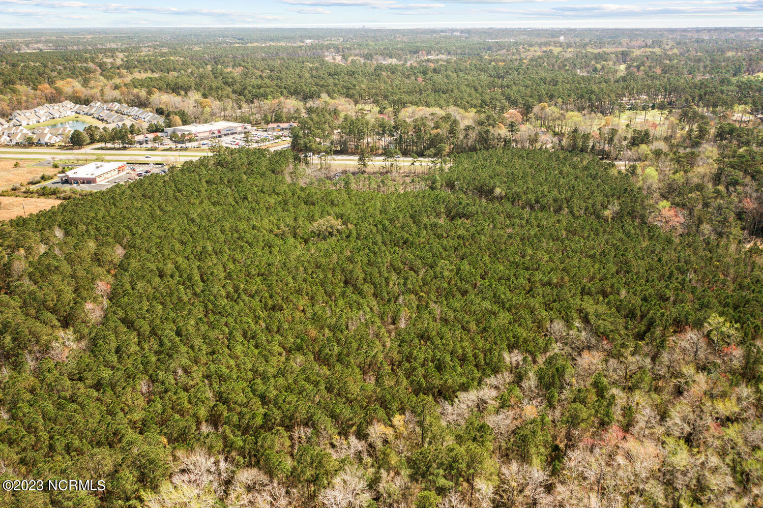 17 Acres Hwy 17 Property Photo 19