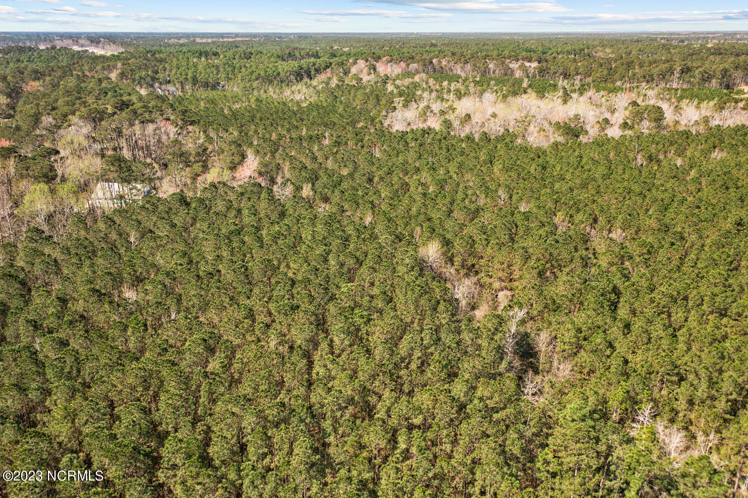 17 Acres Hwy 17 Property Photo 20