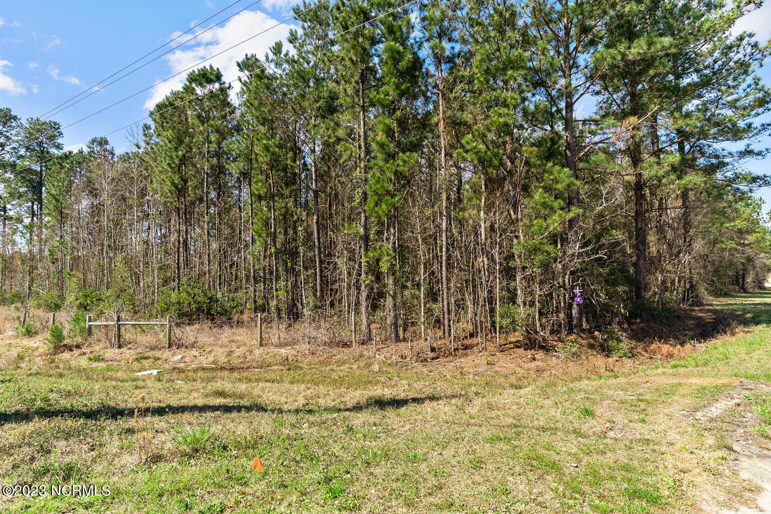 17 Acres Hwy 17 Property Photo 23
