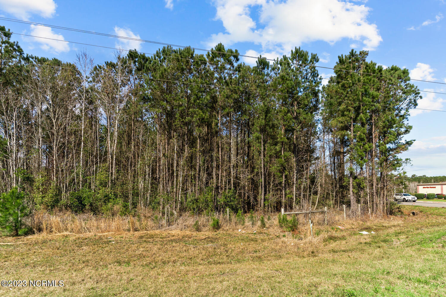 17 Acres Hwy 17 Property Photo 26