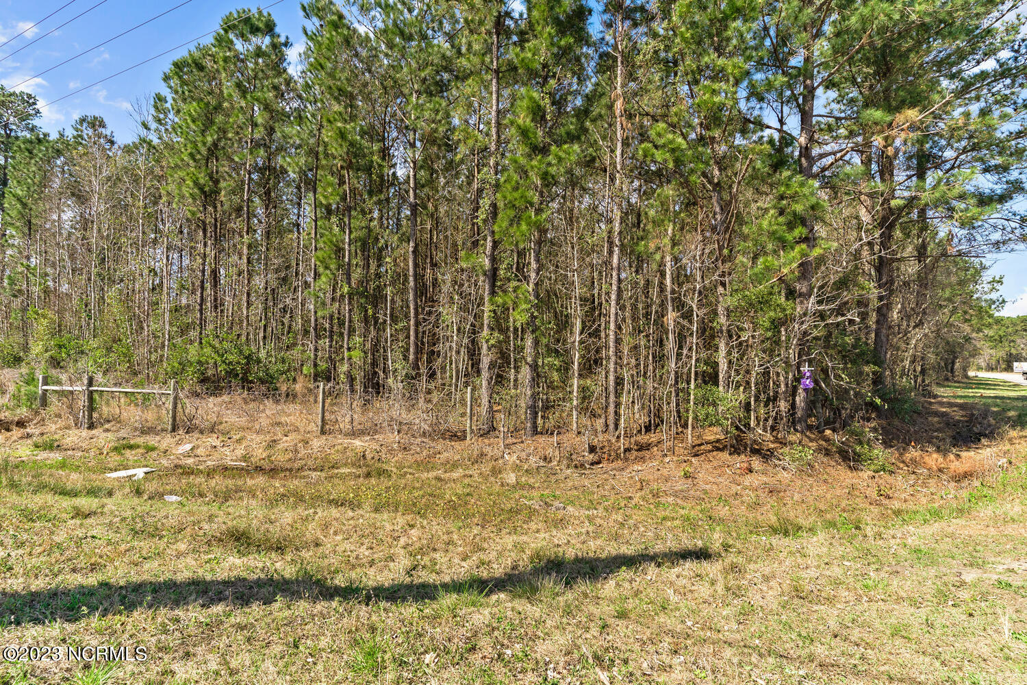 17 Acres Hwy 17 Property Photo 27